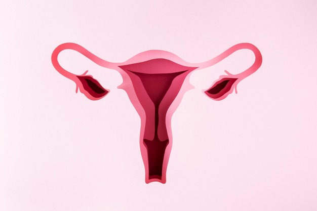 Hysterectomy - Stuti Fertility